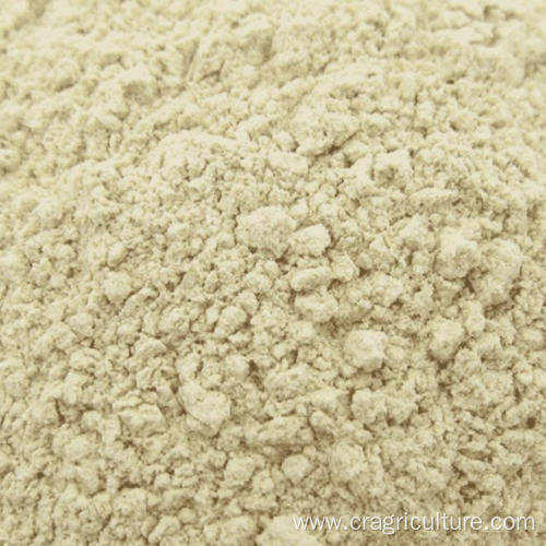 Organic Garlic Powder Bulk For Sale